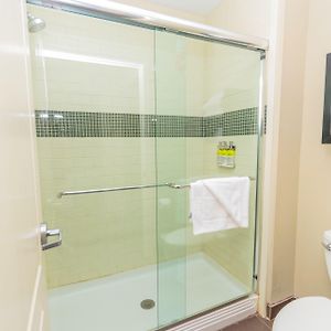 Studio Suite